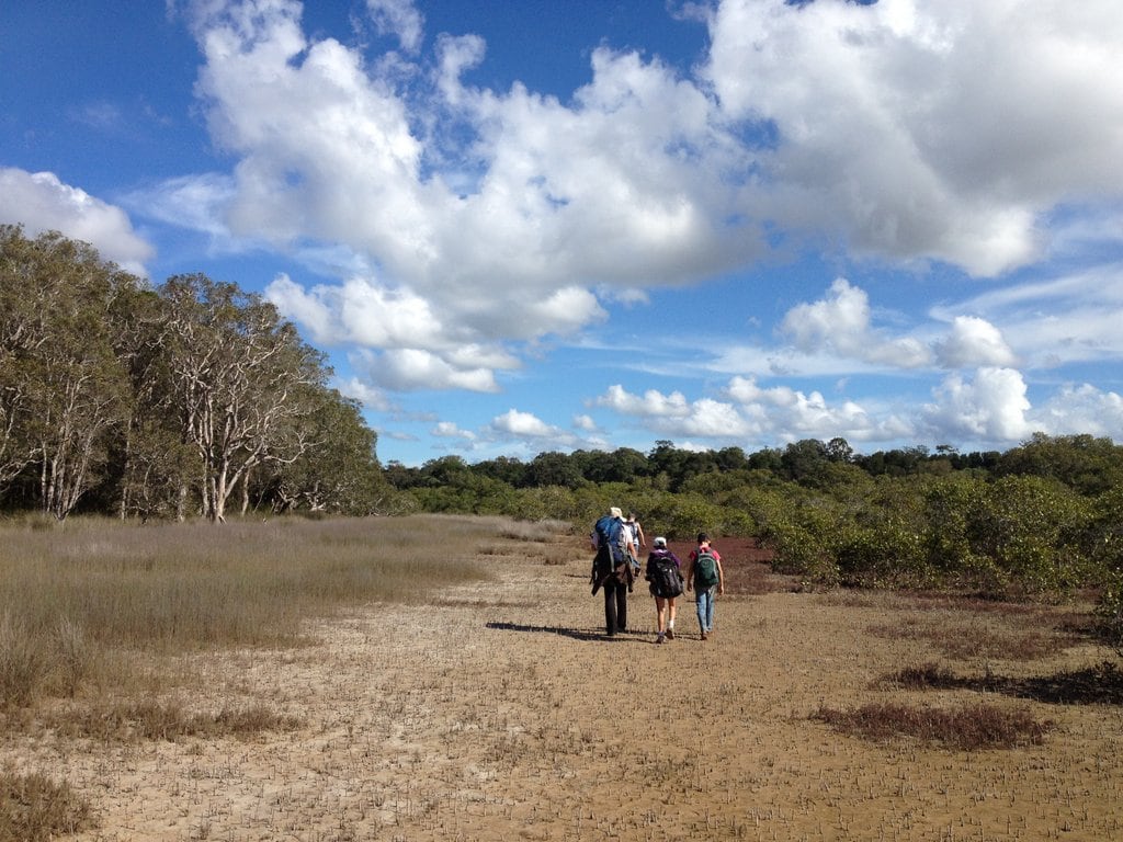 Provider image for Brunswick Bush School: outdoor & nature